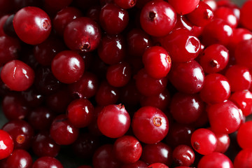 Red cranberries, closeup