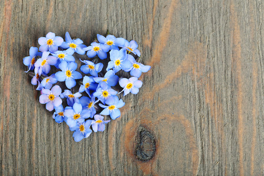 Forget-me-nots flowers on wooden background