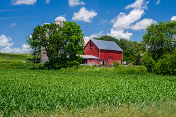 Plakat dairy and corn farm, eastern minnesota