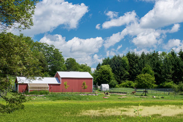 lamma farm, eastern minnesota