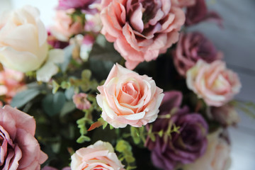 pink rose flower