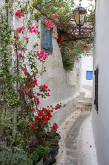Typical greek house in Athens, Greece