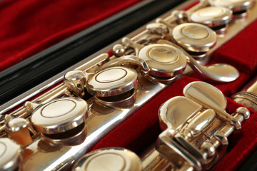 Fototapeta premium Flute in case close up