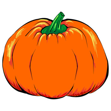 Halloween jack-o-lantern orange pumpkin vegetable vector isolated