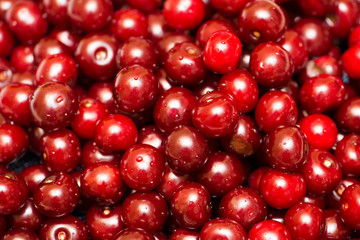 Background of many cherry berries