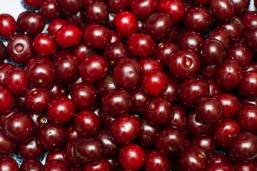 Background of many cherry berries