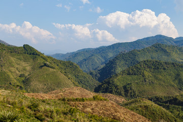 Naklejka na ściany i meble Green forest on high mountain in Laos