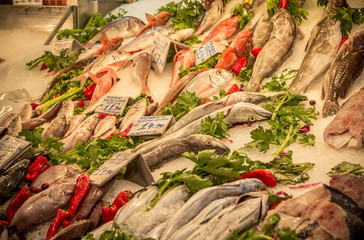 Fresh fishes in a market