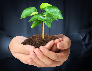  man hands holding plant