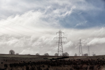 Transmission Tower