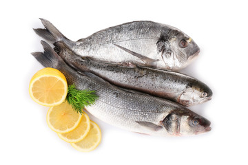 Fresh fish with dill and lemon isolated on white