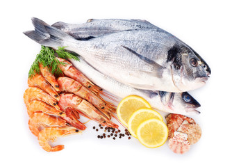 Seafood collection isolated on white