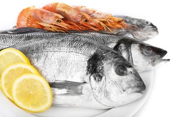 Seafood collection isolated on white