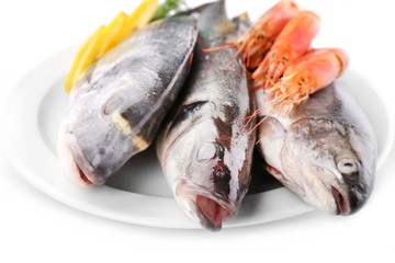 Seafood collection isolated on white