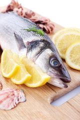 Fresh zander fish on wooden cutting board, closeup