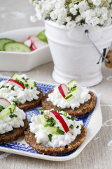 Fresh bread with cottage cheese and vegetables