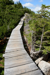 Obraz premium Wooden bridge on trail in Karkonosze mountains