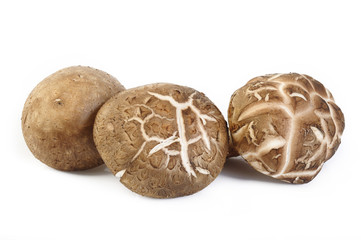 Fresh shiitake mushroom