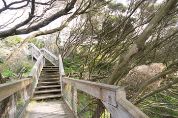Steps to lookout Sorrento back beach