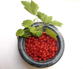 rote Johannisbeeren in Schale
