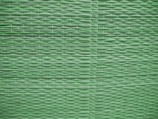 Bastmatte grün