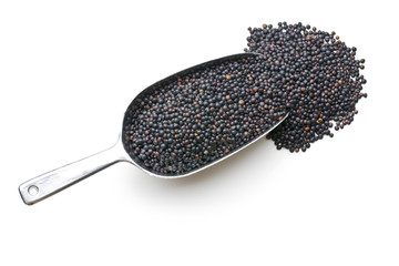 Beluga. Black lentil in scoop.