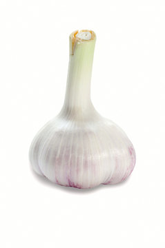 Young garlic isolated on white
