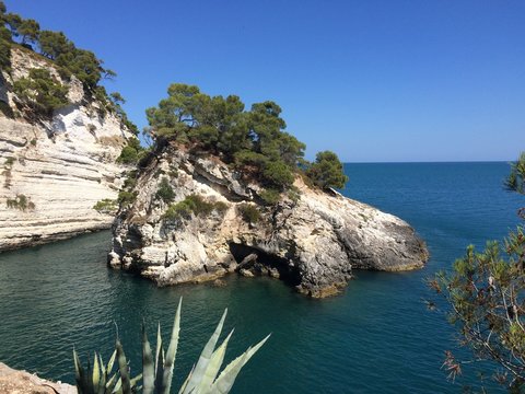 Pugnochiuso, Vieste, Porto piatto