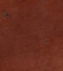 Texture of natural brown scratched leather