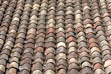 Terracotta curved roof tiles