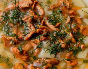 Close-up of soup with chanterelles, herbs and potatoes.