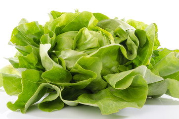 Fresh lettuce