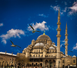 Istanbul the capital of Turkey, eastern tourist city.