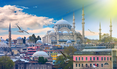 Obraz premium Istanbul the capital of Turkey, eastern tourist city.