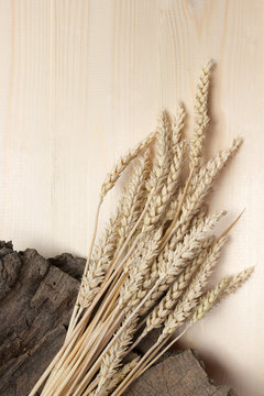 Wheat Ears on Wooden Table. Sheaf of Wheat over Wood Background. Harvest concept