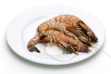 Shrimps