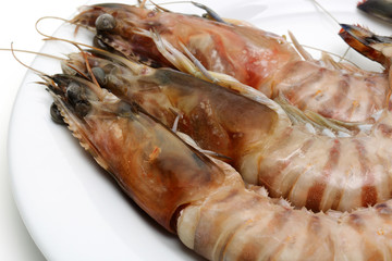 Shrimps