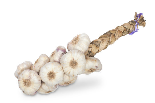 large bunch of garlic tied up in pigtail