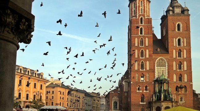Gołębie w mieście Krak&oacute;w