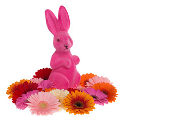 Pink easter bunny between pink flowers isolated on a white background