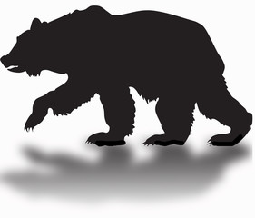 Fototapeta na wymiar silhouette of a black grizzly bear