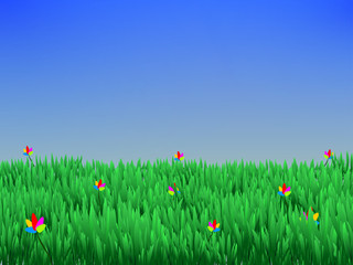 Summer a background with grass and blue sky.Vector