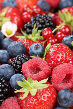Beeren Früchte mit Erdbeeren, Blaubeeren, Himbeeren und Kirsche