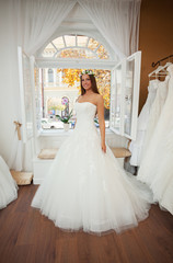 Beautiful young bride wearing wedding dress