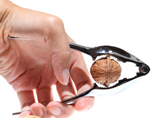 Walnut in nut cracker isolated on white background.