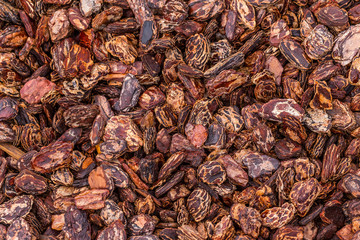 Pine bark