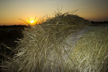 Fototapeta premium Straw bales