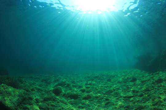 Underwater Ocean Background