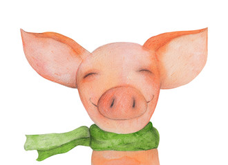 Pig Portrait in the green scarf. Watercolor  - 87984898