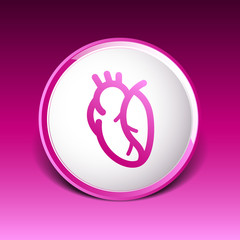 vector red human heart icon cardio cardiovascular